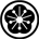 WT Kung Fu